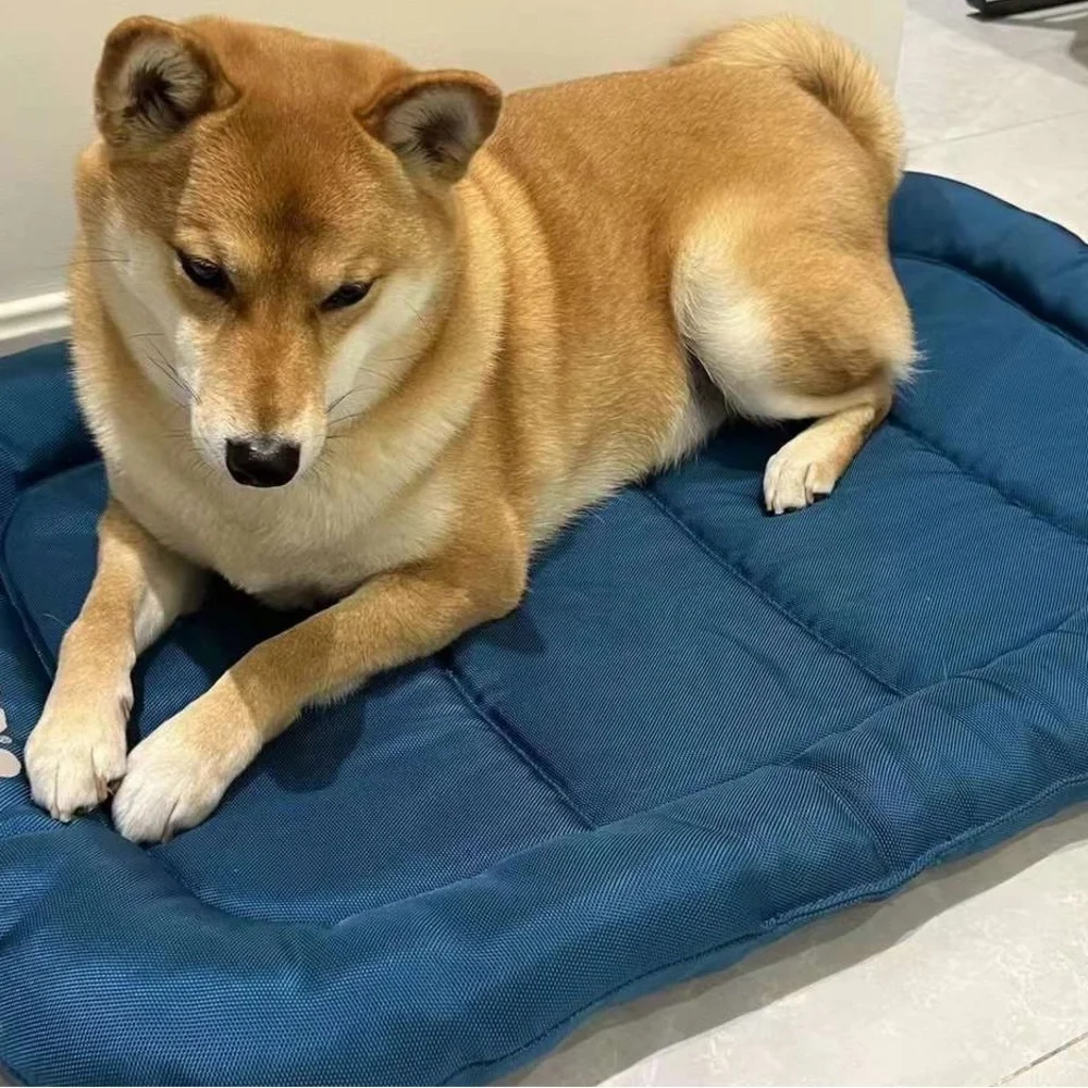 COPY - KONG durable dogbed